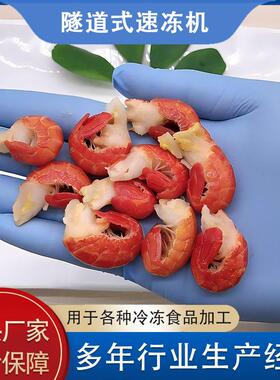 食品加工速冻 液氮353隧道式机冷冻机小龙虾虾尾低冻温速冻速厂家