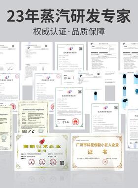 温小型蒸汽发生器干湿蒸汽可调电磁泵供水服装熨烫干洗蒸汽机