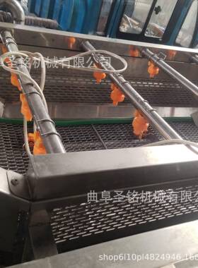 电动喷淋式果蔬清洗机 小青菜番茄辣椒清洗机 土豆去泥清洗机