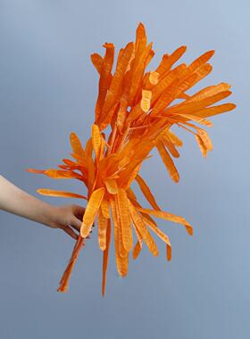 橙色黄色干花秋冬美拉德色系真花永生花芦苇绣球粉黛龙须草吊米花
