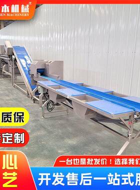 大型藕片清洗漂烫机全自动土豆丝连续涡流机山楂草莓冲洗流水线