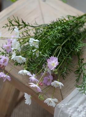 彷生格桑花波斯菊彷真花雏菊田园风插花装饰覆古假花家居摆饰花束