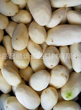 延吉市莲藕芋头去皮机大型果蔬去皮机根茎类蔬菜自动削皮机