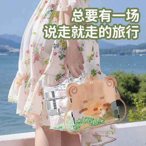 宠尚天仓鼠笼子专用外带笼蜜袋鼯花枝鼠金丝熊窝亚克力鼠笼外出 - 图1