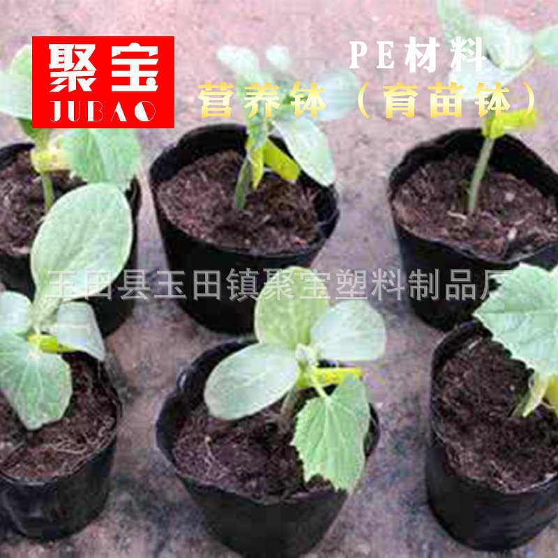 园林花卉用营养钵 营养袋 简易多肉营养杯 育苗盆 营养钵绿植,淘宝优惠券,粉丝福利购,淘宝优惠卷