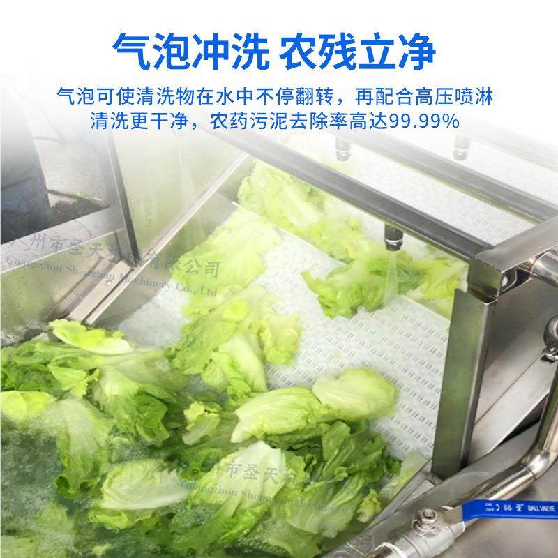 功能清洗机菜气泡浪水果292冲清洗机 自动提升喷多淋洗菜机 蔬清,淘宝优惠券,粉丝福利购,淘宝优惠卷