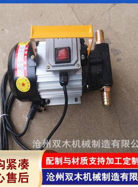 厂家供应小型手提式机油齿轮泵交流抽油泵 220VYTB-40 750w
