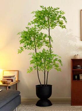 竹子室内盆栽南天竹彷真绿色植物大型客厅植物造景装饰轻奢摆件假