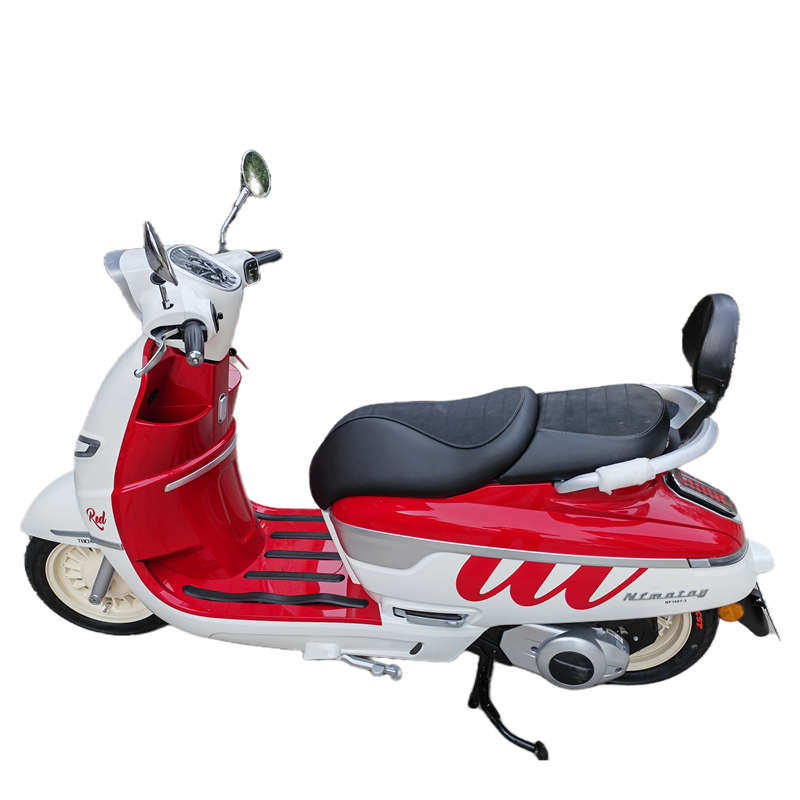 适用于南方摩托车飞戈150后靠背 NF150T-3改装加大后靠垫皮垫配件 - 图3