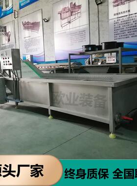 商用番薯叶清洗机 农家特产红薯梗加工机器 全自动蔬菜清洗机
