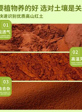 云南红土种植土天然纯正颗粒酸性红泥土营养土养花通用种菜专用土