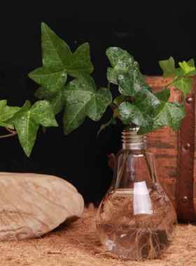 玻璃灯泡花瓶吊瓶悬挂绿植水培玻璃瓶客厅时尚摆件跨境电商货源定