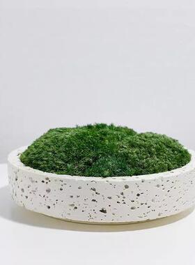 简花约现黑代色桌盆摆件仿真青苔绿植GD-H221装饰客厅面酒店永生