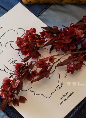 新年宵花材永生红色蝴蝶花干花中式家居样板间树枝装饰摆件迎客豆