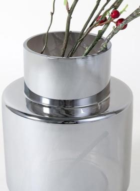 简约现代银白色透明磨砂玻璃不规则圆形水培花瓶插干花花器摆件