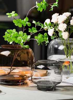 轻奢花瓶装饰摆件原色玻璃透明水养鲜花干花插花客厅餐桌花器