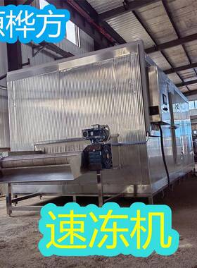 源桦方荔枝速冻机杨梅冷冻加工设备鱿鱼圈冷冻机