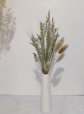 乾燥花芦苇拂尘芦苇花束乾燥花DIY乾燥家居装饰摆件小芦苇北欧跨