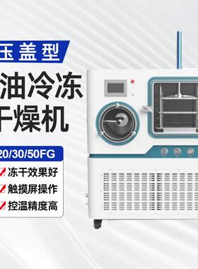 真空冷冻干燥机硅油导热冻干机实验室中试冷冻干燥机蛋白酶冻干机