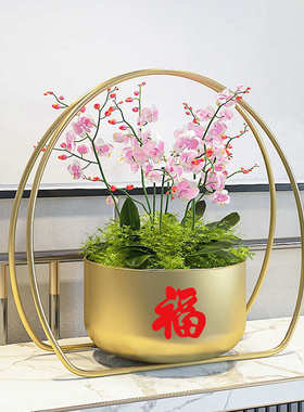 新居乔迁福桶 春节抱抱桶 年宵干花花桶 银柳摆件花盆花器装扮花