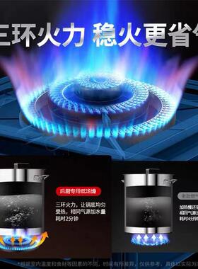 低638商用锈钢节能不煤气液化气厨房卤肉单灶双汤头矮脚商用燃气