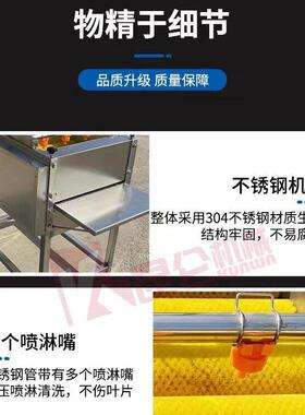 不锈钢毛刷清洗设备全自动芭蕉叶荷叶芦苇叶粽叶清洗机商用