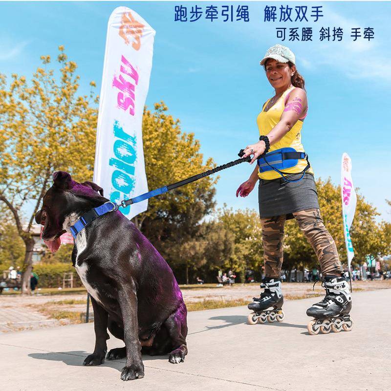 The most popular running dog extra-long dog leash HJ-11001 multifunctional sports waist bag pet