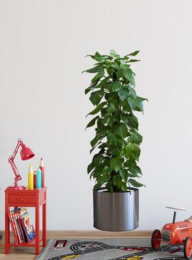大型模拟绿色植物垂直盆栽植物贴纸画不干胶入口装饰画通道背景墙