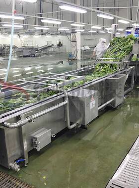水果蔬菜全自动气泡清洗机不锈钢全自动蔬菜清洗机芹菜洗菜机