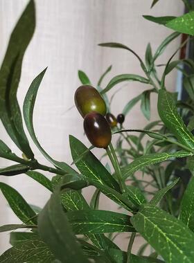 彷真橄榄树植物彷真绿色植物家居客厅装饰树假树室内办公室搭配