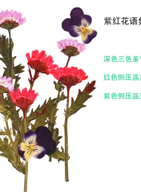 diy造纸术古法干花材料餐桌花艺