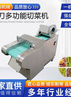 商用大型山楂果脯切丁机果干切丁设备猕猴桃干切丁蔓越莓干切丁机