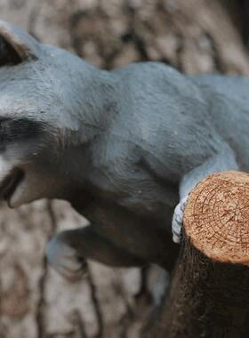 户外园林景观树上挂件树脂动物彷真浣熊别墅花园庭院院子装饰创意