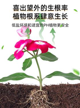 思威博椰砖营养土通用型椰土椰糠粗椰壳养花种菜低盐种植大块耶砖