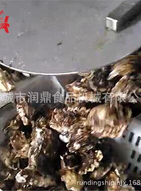 即食海参全自动加工生产设备海虹清洗去杂机平行式毛辊清洗机