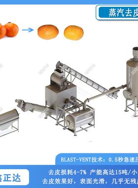 全自动黄桃蒸汽去皮机 温蒸汽脱皮设备 大型桃子去皮机