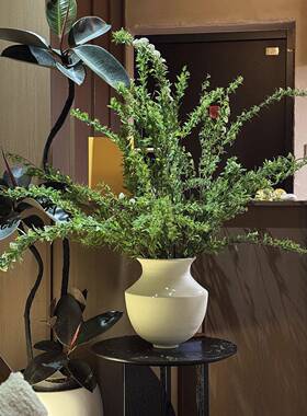粗陶花器复古陶罐侘寂中古陶土陶瓷花瓶摆件白色绿植插花日式花盆