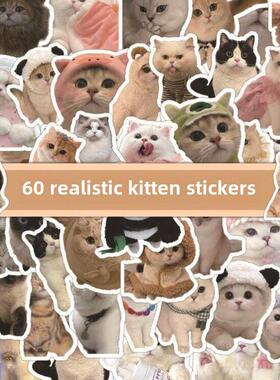 60 Pcs Kawaii Cat Stickers Aesthetic Stationary Cute Sticker