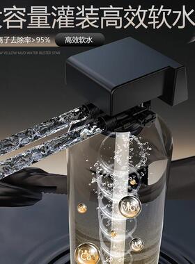 全屋中央软水机除水垢水碱水质软化过滤井水地下水全自动软水设备
