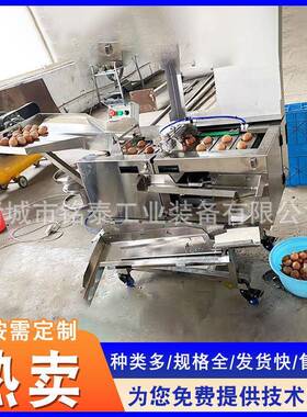 商用蛋清蛋黄分离机不锈钢加厚蛋黄蛋液分离器烘焙蛋液过滤器
