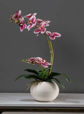 仿真蝴蝶兰花艺套装摆件新中式客厅餐桌博古架假花桌面小盆栽装饰