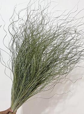 【全国包邮】长枝仙小女草细叶芒干干燥花包花束清客厅装饰花天然