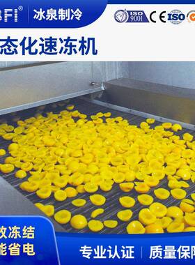家直销预制菜快速冷冻生产线厂速冻冻品食加工生产流态化774低温