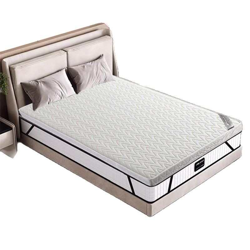 椰棕床垫薄款加硬床垫护脊乳胶棕榈家用护腰成人款榻榻米垫子 - 图1