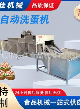 新型蛋品清洗机鸡蛋鸭蛋清洗设备全自动养殖场蛋品类清洗机