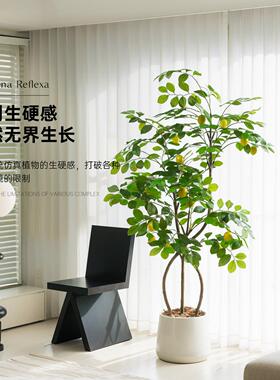 彷真柠檬树高端轻奢彷生绿植家居室内客厅大型落地盆栽装饰摆饰