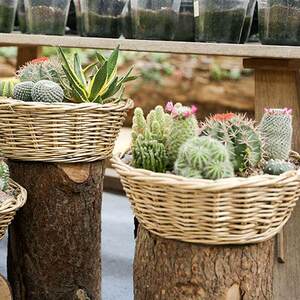 24071231欧拉柳编手工花篮圆柳浅盘手工编织藤编盆栽阳台装饰花盆