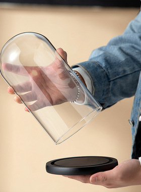 玻璃罩工艺品防尘罩永生装饰摆件