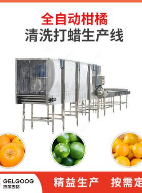瓜果清洗风干流水线  芒果清洗打蜡分选全套机械设备 芒果清洗机