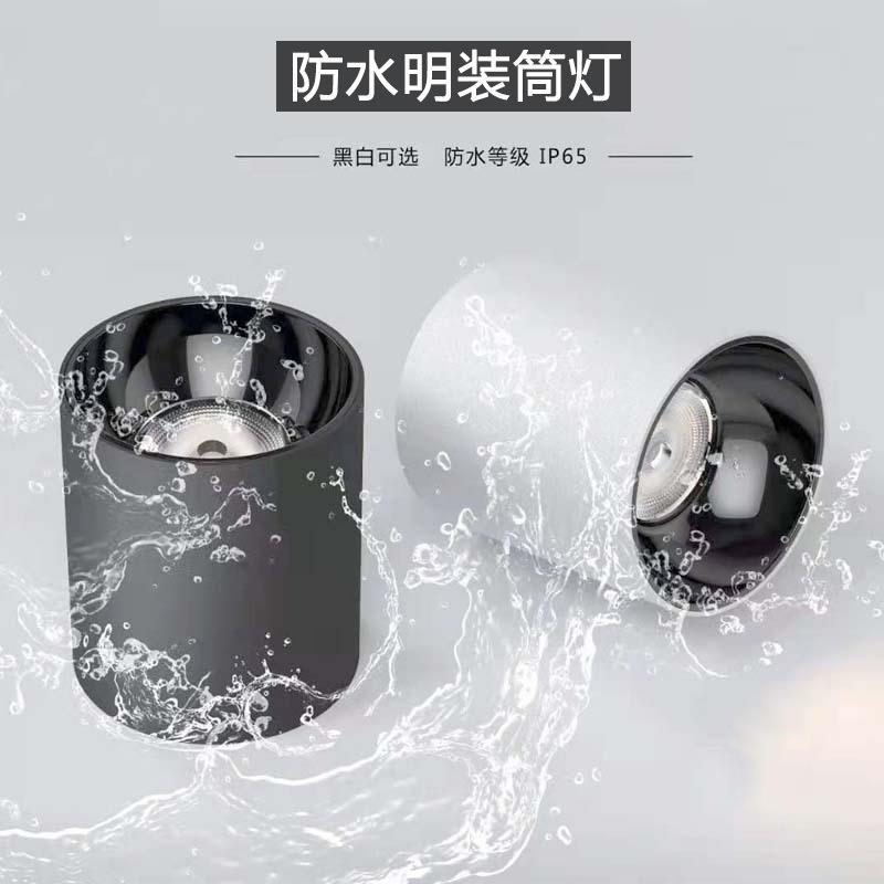 Waterproof surface-mounted downlight corridor door terrace awning bathroom outdoor waterproof ceiling-mounted surface-mounted museum spotlight